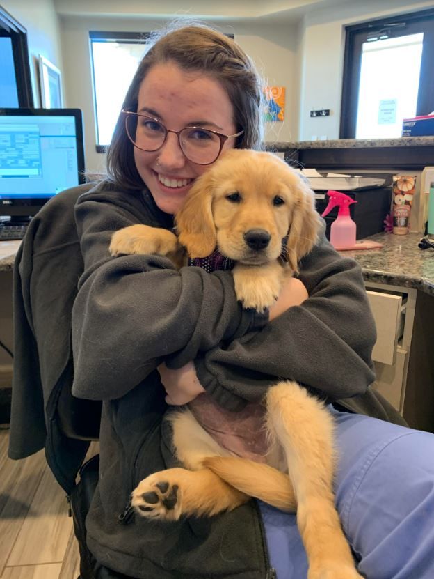 files/golden_retriever_with_girl.jpg